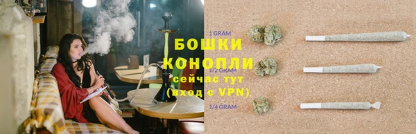 прущие крисы Бородино