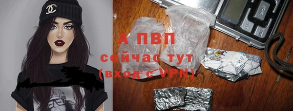 прущие крисы Бородино