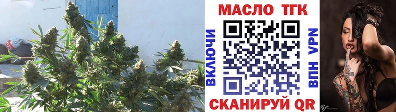 Купить закладки  Кохма  Дистиллят ТГК жижа 